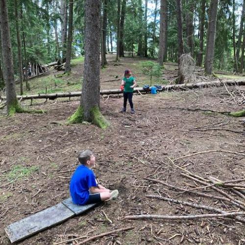 Wald