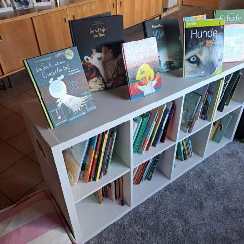 Man sieht die Lesewelt der VS Grinzens mit einem Regal, Sitzkissen und verschiedenen Büchern. 