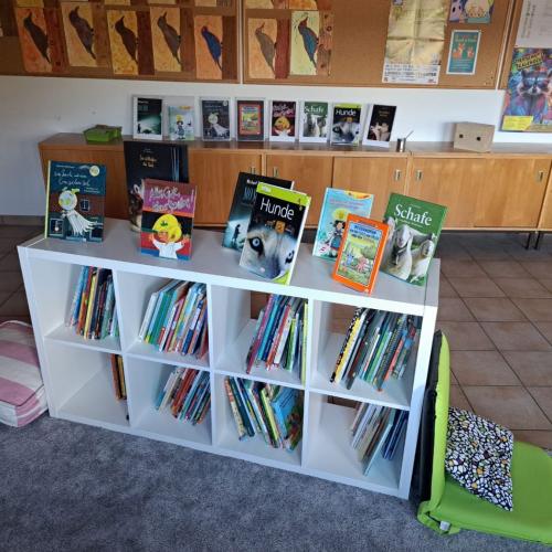 Man sieht die Lesewelt der VS Grinzens mit einem Regal, Sitzkissen und verschiedenen Büchern. 